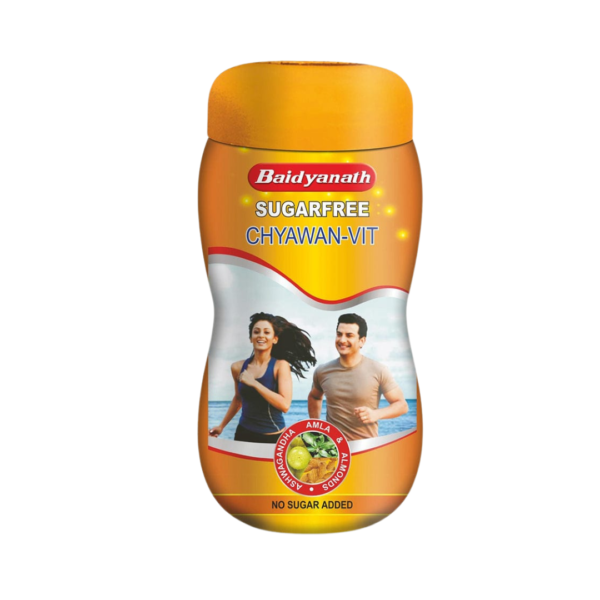 Baidyanath Sugarfree Chyawan -Vit 2kg